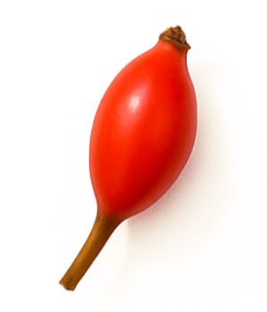 Rosehip
